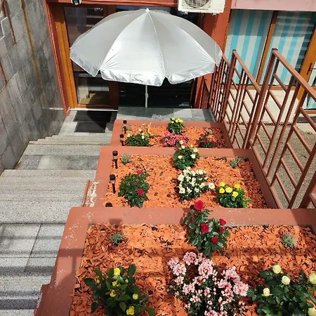 Garsoniera Alex