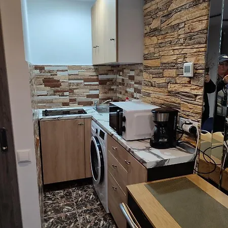 Garsoniera Alex Apartament *