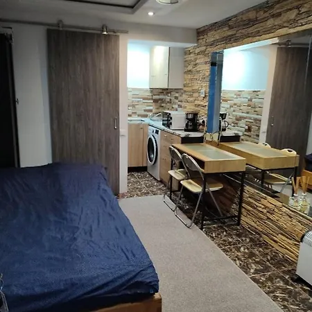 Garsoniera Alex Apartman *