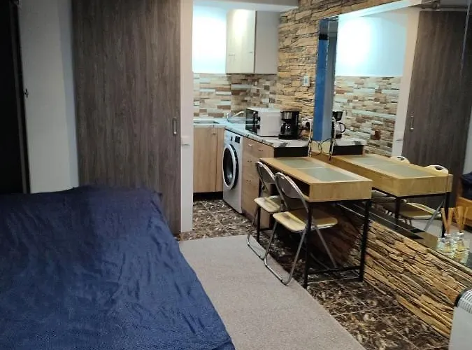 Garsoniera Alex Appartement *